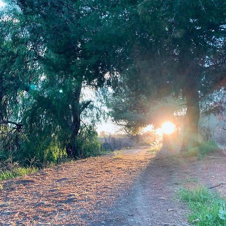 Monte Rosado Viviendas Vacacionales La Peza Zewnętrze zdjęcie